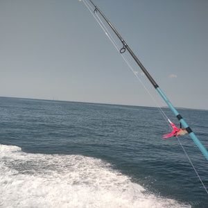 Meet your Posher, Ron